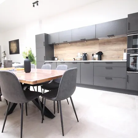 Grand Loft Wasseyen - Haut De Gamme - Lac Du Der Apartment