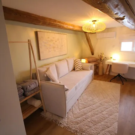 Grand Loft Wasseyen - Haut De Gamme - Lac Du Der Apartment